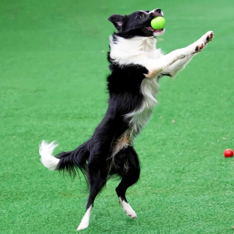 Dog Ball Pet Dog Toys Rubber Chew Toys