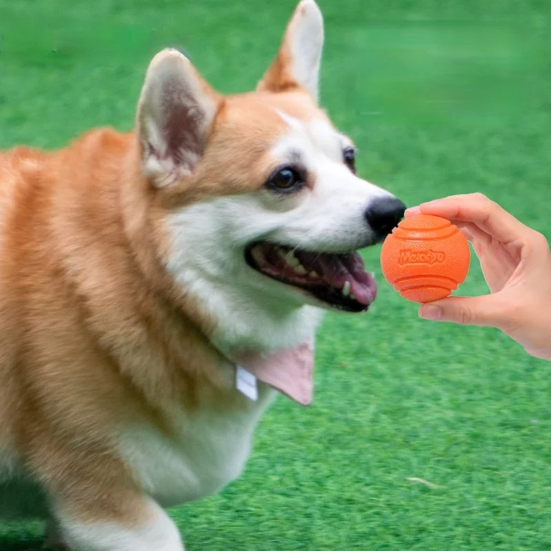 Dog Ball Pet Dog Toys Rubber Chew Toys