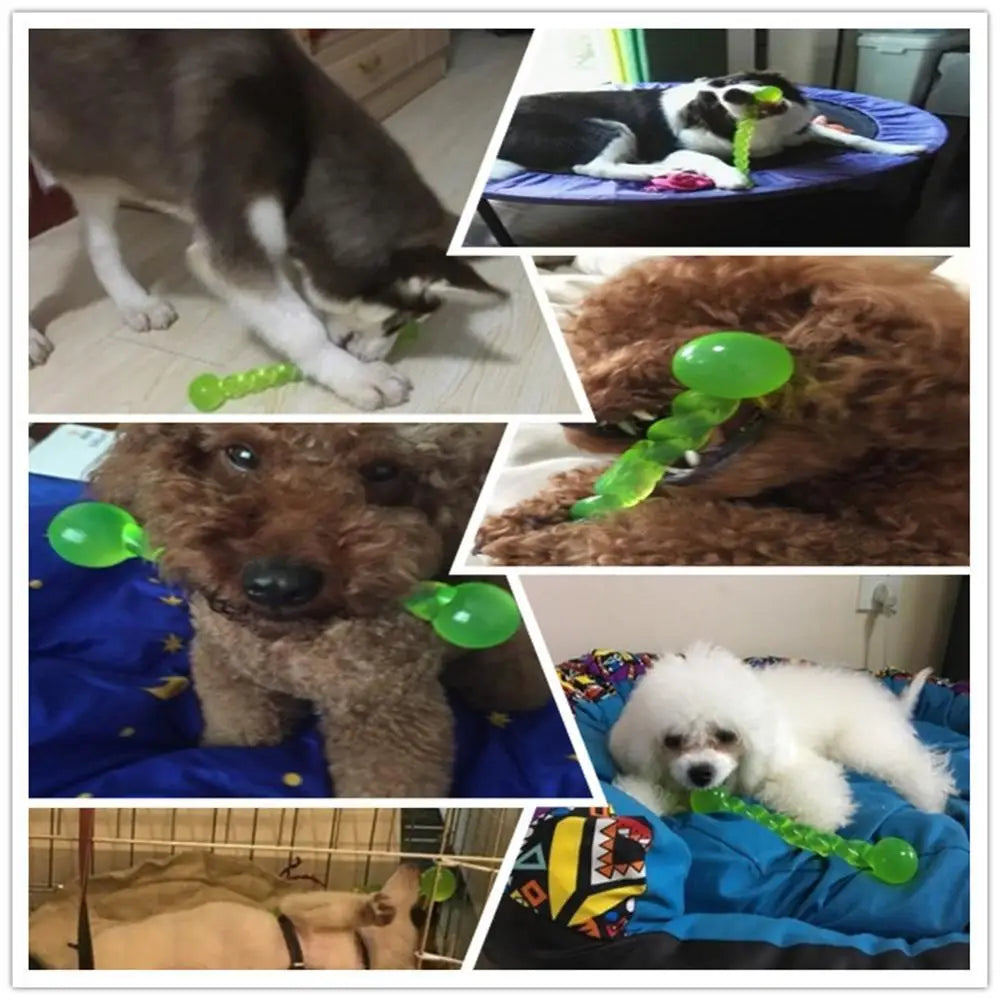 New Rubber Dog Toy Rubber Molar Tooth for the Pets