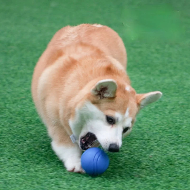 Dog Ball Pet Dog Toys Rubber Chew Toys