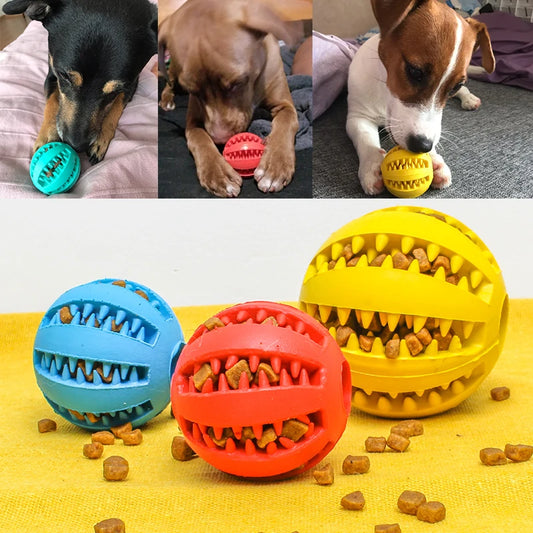 Toys for Dogs Rubber Dog Ball