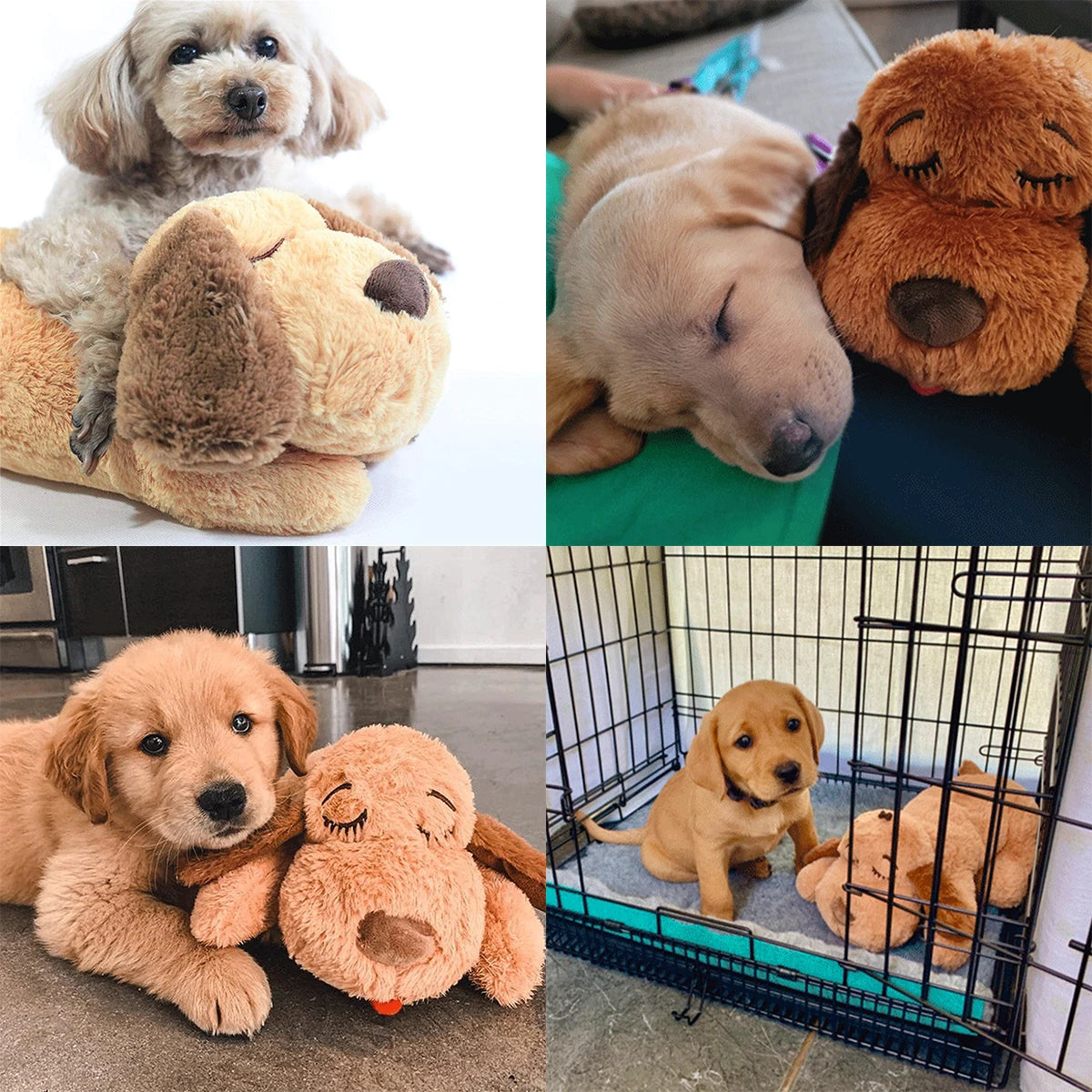 Plush Heartbeat Puppy Behavioral Training